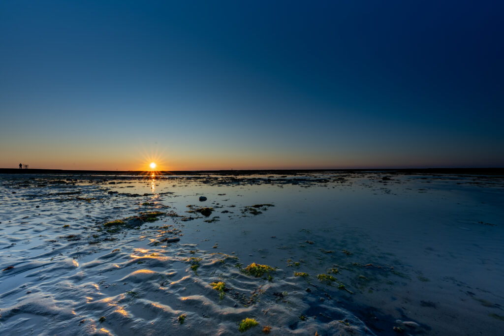 Check out the beautiful detail thanks to the last ligt of the sun!